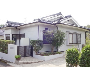 燕の巣周辺の塗装、見事です！